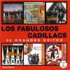 20 Grandes Exitos de Los Fabulosos Cadillacs